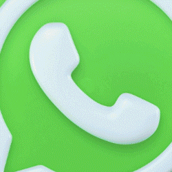 WHATSAPP BOLAPELANGI2